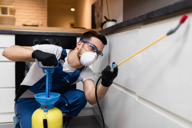 Best Pest Control for Businesses  in Southside Place, TX