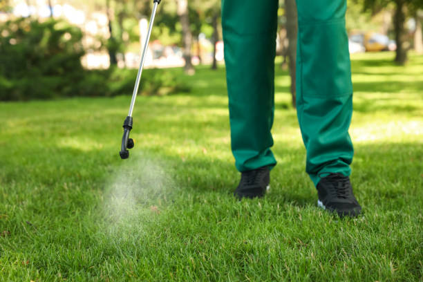 Best Pest Removal Services  in Southside Place, TX