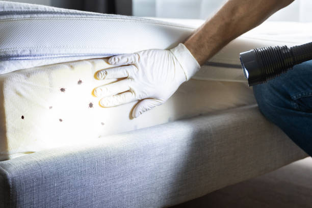 Southside Place, TX Pest Control Company