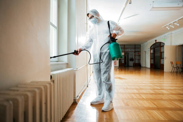 Best Emergency Pest Control  in Southside Place, TX