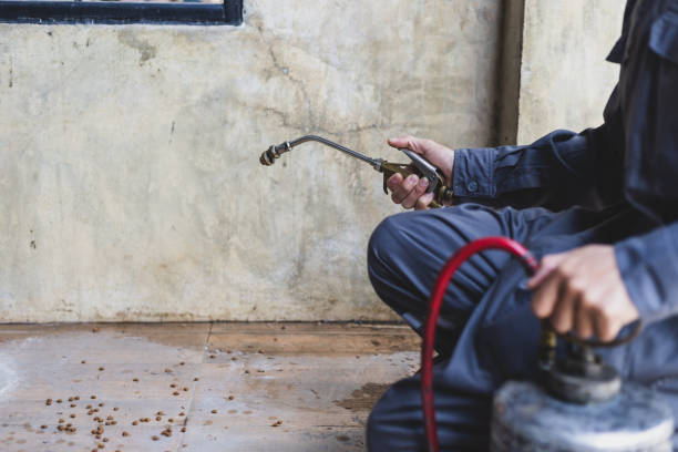 Best Affordable Pest Control Services  in Southside Place, TX